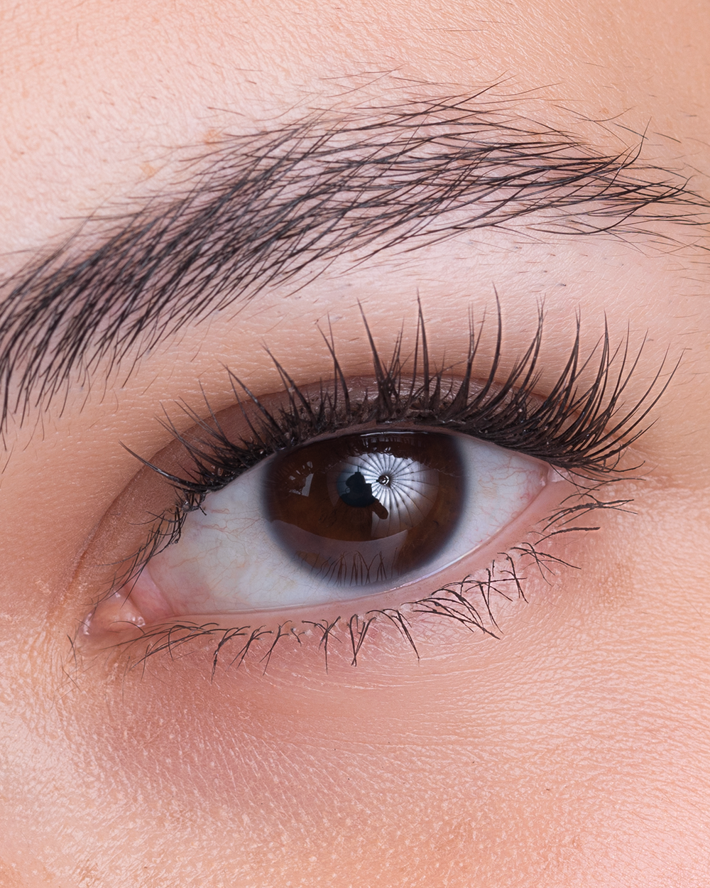 At-home lash extension starter kit